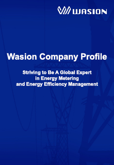 Wasion Company Profile Presentation